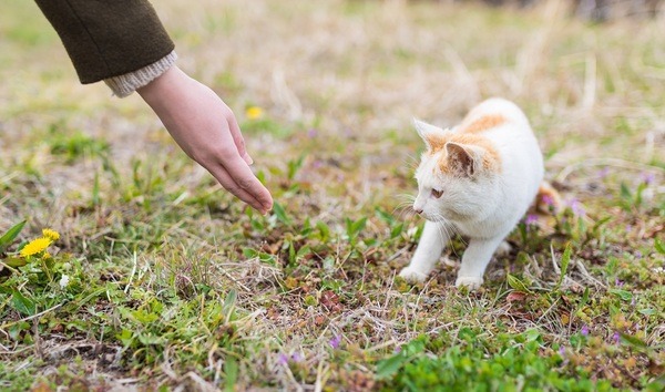 「リスクは避けたい」が「カモ」になるのはもっと避けるべき