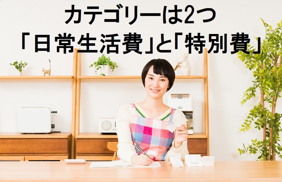 家計簿のカテゴリーを2つにまでに減らして家計をラクラク操縦しませんか