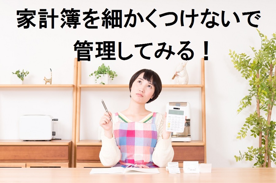 家計簿のカテゴリーを2つにまでに減らして家計をラクラク操縦しませんか