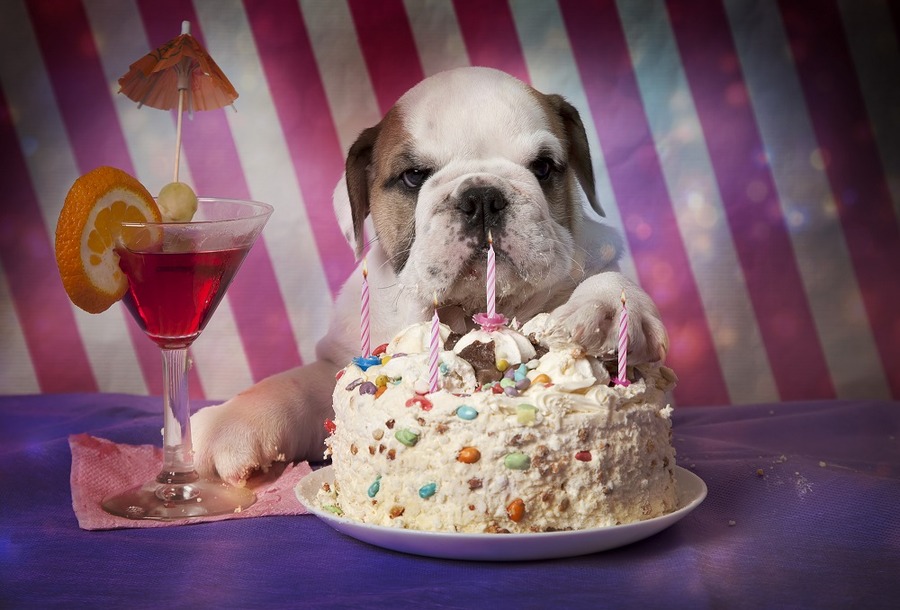 Happy Birthday! 　お誕生日に「無料」特典が受けられる施設7選