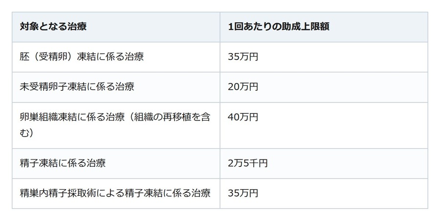 卵子凍結は全額自己負担、とは限らない。国が費用を助ける仕組みがあります