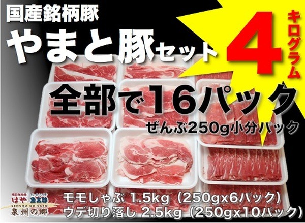 【ふるさと納税】まだまだお得な「1万円」でボリュームたっぷり「おいしい」返礼品5選