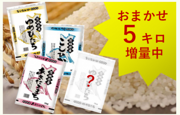 【ふるさと納税】まだまだお得な「1万円」でボリュームたっぷり「おいしい」返礼品5選