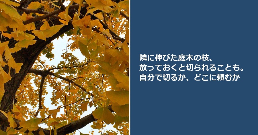 隣に伸びた庭木の枝、放っておくと切られることも。自分で切るか、どこに頼むか