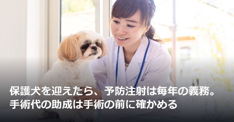 保護犬を迎えたら、予防注射は毎年の義務。手術代の助成は手術の前に確かめる