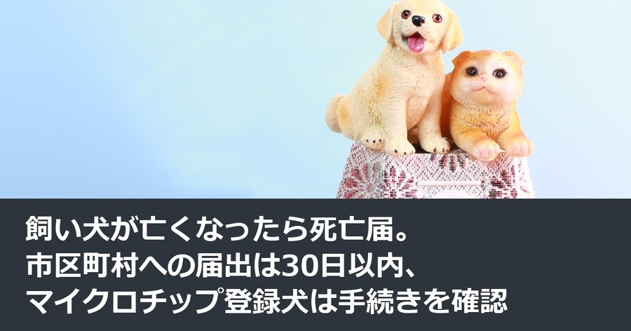 飼い犬が亡くなったら死亡届。市区町村への届出は30日以内、マイクロチップ登録犬は手続きを確認