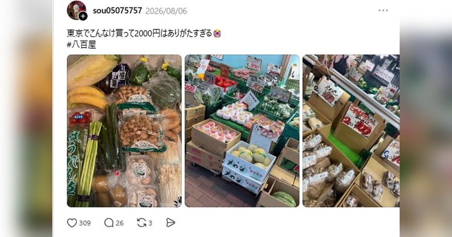 「東京でこんなけ買って2,000円はありがたすぎる」八百屋通いの投稿が話題、単身の食費データで検証