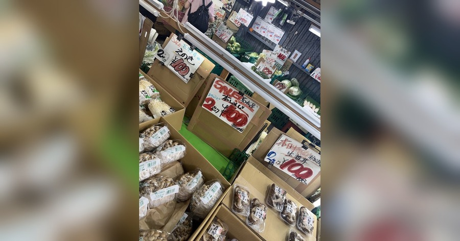 「東京でこんなけ買って2,000円はありがたすぎる」八百屋通いの投稿が話題、単身の食費データで検証