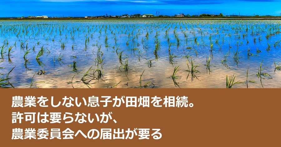 農業をしない息子が田畑を相続。許可は要らないが、農業委員会への届出が要る