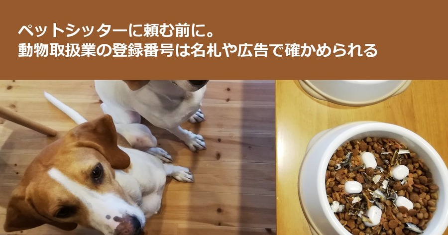 ペットシッターに頼む前に。動物取扱業の登録番号は名札や広告で確かめられる
