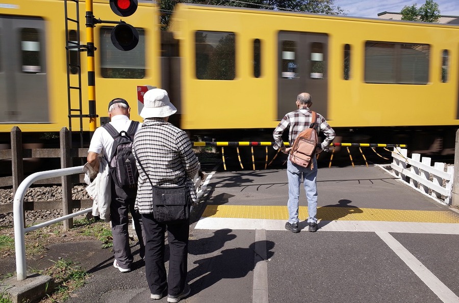 【認知症患者向け保険】けがや物損を伴わない患者が与えた損害を補償する「個人賠償特約」とは