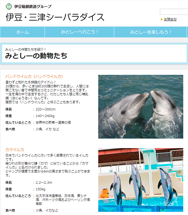 今年の夏休みは、大人も子どもも「やってみたい」を叶えよう！　おススメ体験プラン5選