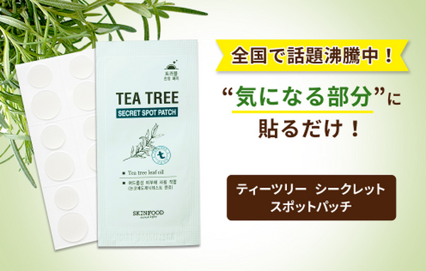 お手軽価格がうれしい美容大国の韓国コスメ　日本でこれから人気が出る商品もご紹介！