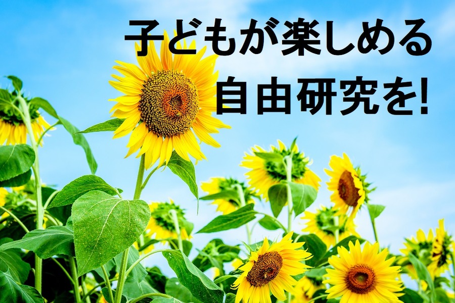 夏の宿題「自由研究」はお早めに！　簡単＆お金をかけずに身近なもので乗り切るネタ6選