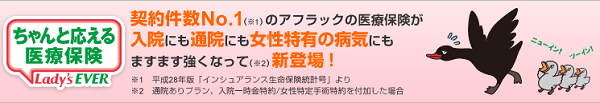 「女性向けの医療保険」は保障の範囲が広がるわけではない。対象となる病気を知り、本当に必要かを見極めましょう。