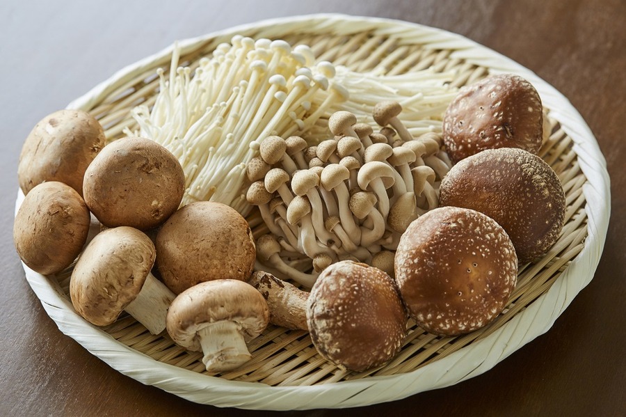 「菌活」のススメ　4種類の「菌」で腸からキレイになろう