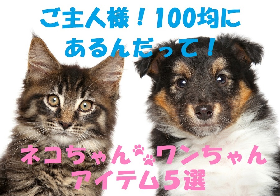 ダイソーで発見！　100均で買えるワンちゃん・ネコちゃん向けアイテム5選