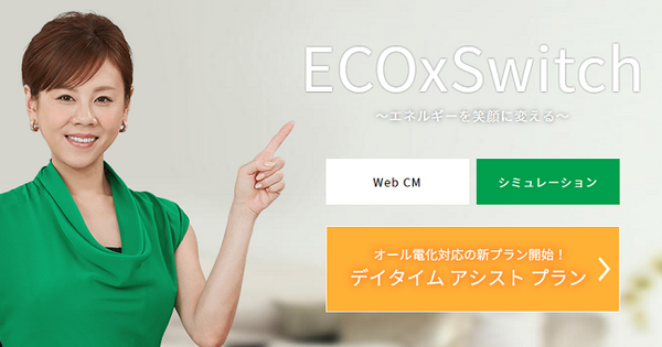 電力自由化で会社を変えても節約効果が低めの方へ　特徴のある電力プランを持つ3社をご紹介