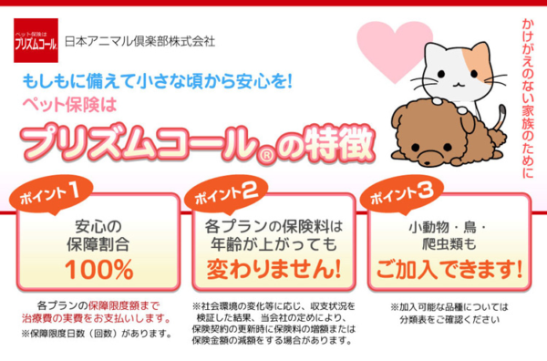 小動物や鳥類、爬虫類も加入できるペット保険「プリズムコール」　最もこの保険に適しているのは亀