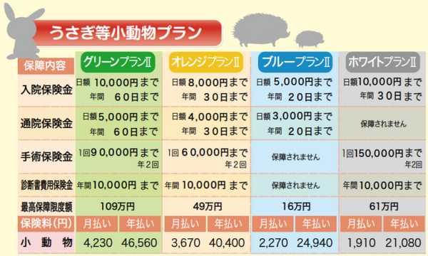 小動物や鳥類、爬虫類も加入できるペット保険「プリズムコール」　最もこの保険に適しているのは亀