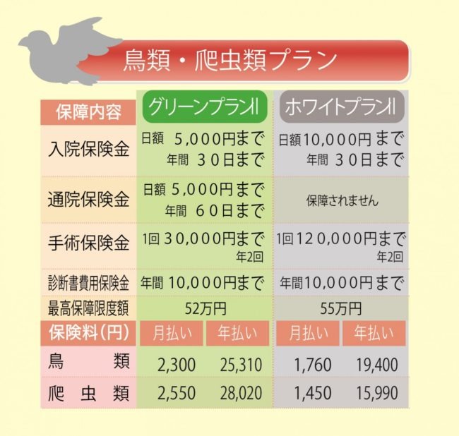 小動物や鳥類、爬虫類も加入できるペット保険「プリズムコール」　最もこの保険に適しているのは亀