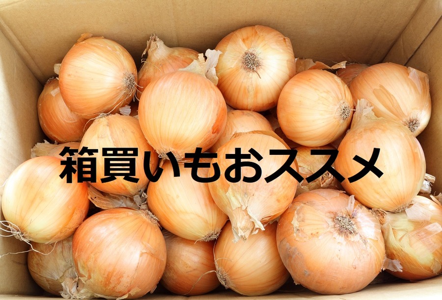 献立を立てて買い物するか？　買ってから考えるか？　「食費」の節約方法を分析しました　