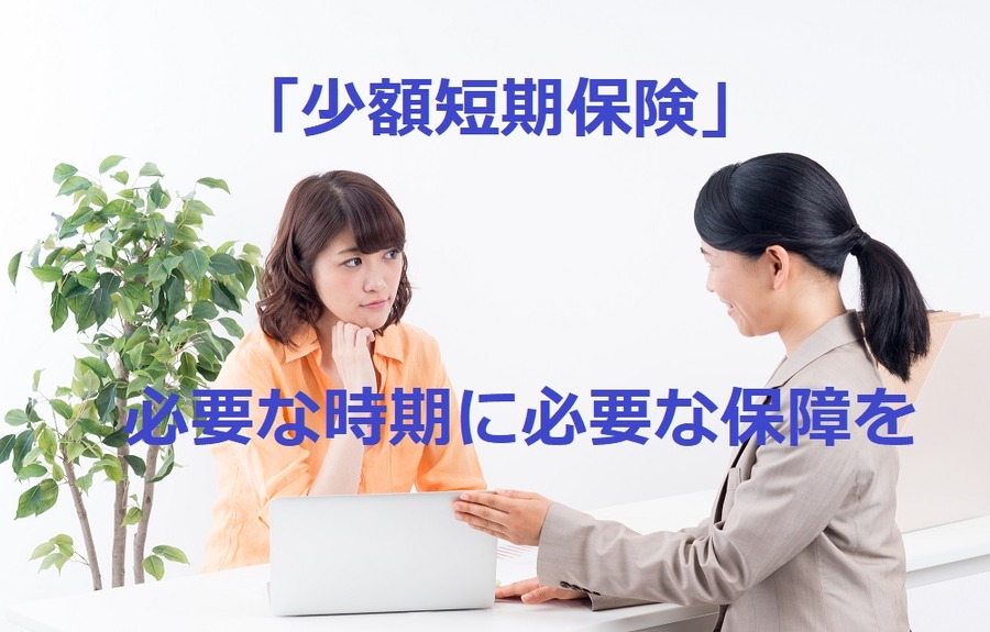 「少額短期保険」は料金が安く種類も豊富　必要な時期に、必要な保障がつけられます