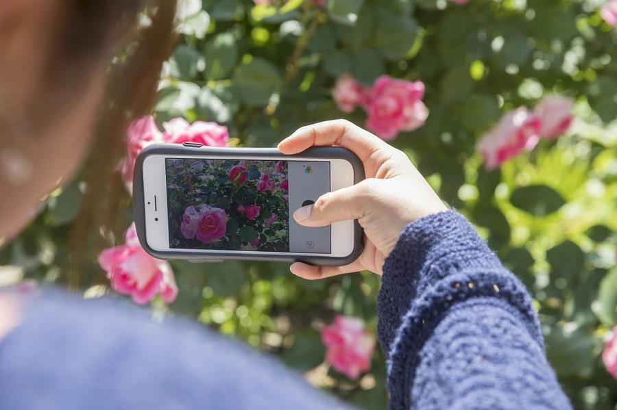 フリマ感覚でスマホ写真を販売できるアプリ「スナップマート」　出品から報酬の受け取りまでスマホで完結できるのも魅力です　
