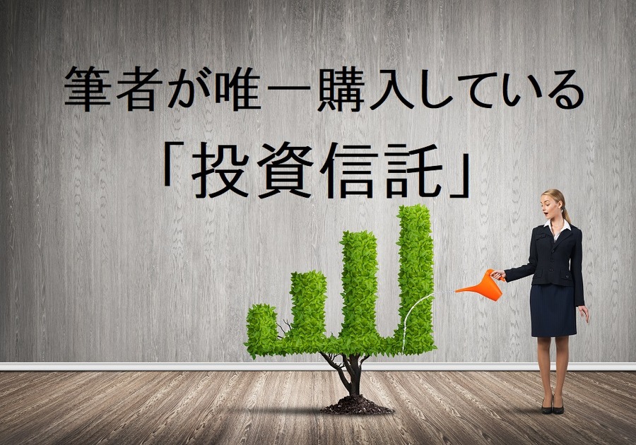 【読者の質問に回答(2)】株好きな私が唯一選んだ投資信託「ひふみ投信」とは