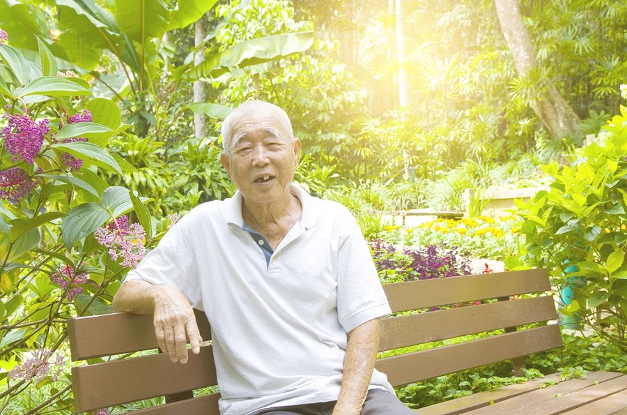 「マレーシアの年金制度」は給与天引きで積立てる公平なシステム　しかし長生きするとお金が尽きるデメリットも。　