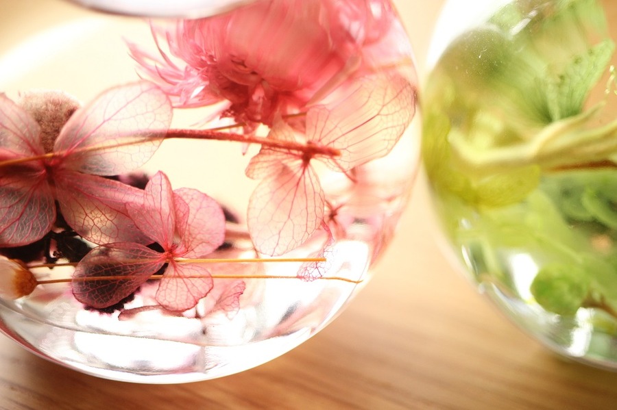 100均にも材料がある。生け花の知識がなくてもできる「ハーバリウム」を手作りしよう