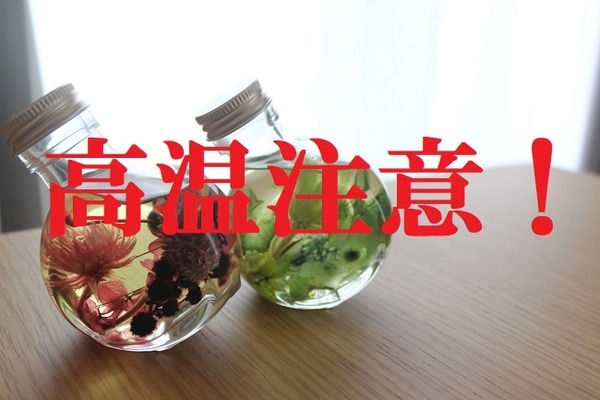 100均にも材料がある。生け花の知識がなくてもできる「ハーバリウム」を手作りしよう