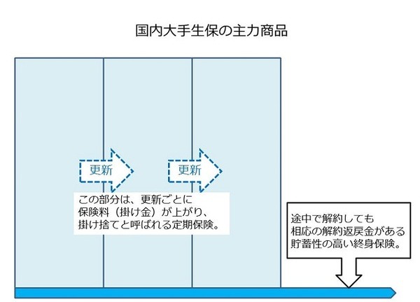 生命保険加入、見直しは「物価」と「金利」が重要　インフレとデフレで入るべき保険内容は変わってくる