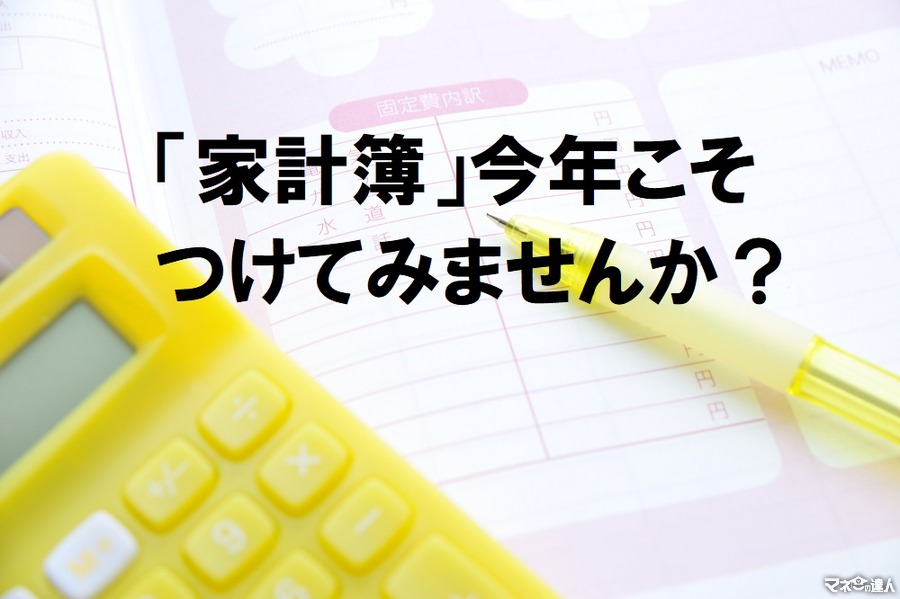 今年は家計簿を途中であきらめない　赤字の月もあるけど、通年でプラスを目指しましょう