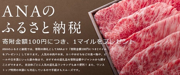 寄付＋αが楽しめる♪　楽天ポイント・ANAマイル・Amazonギフトがもらえる「ふるさと納税サイト」