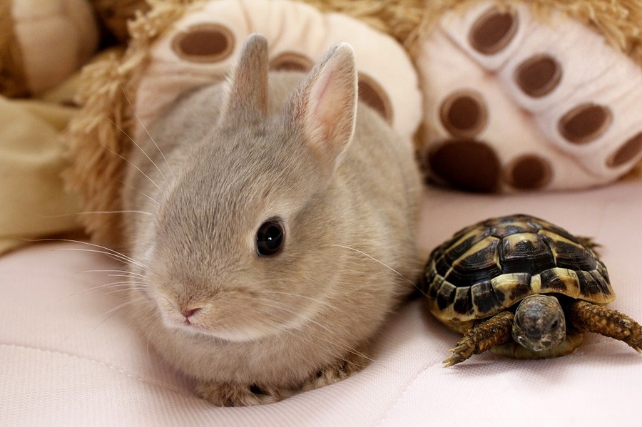 「家計簿は面倒くさい」と、挫折しまくる筆者が3年以上続けているのは、独自のルールを作ったからです。