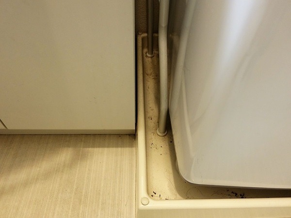 家事代行ってどうなの？　2か月に一度お願いしている筆者がビフォーアフター写真で紹介します