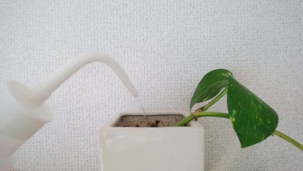 目標を見誤りません