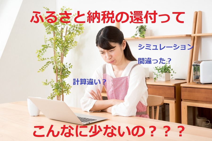 ふるさと納税、還付金少ない