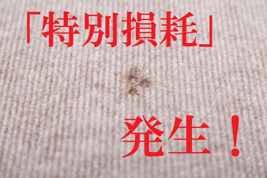 特別損傷発生