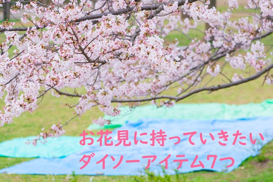 お花見、ダイソー、100均