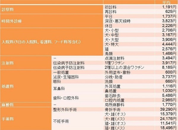 ペット保険の詳細と加入時に気を付けたいこと