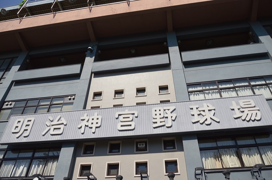 神宮球場で野球観戦