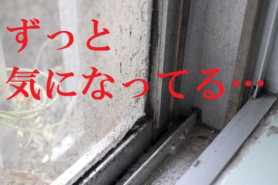 網戸の汚れや穴が気になる