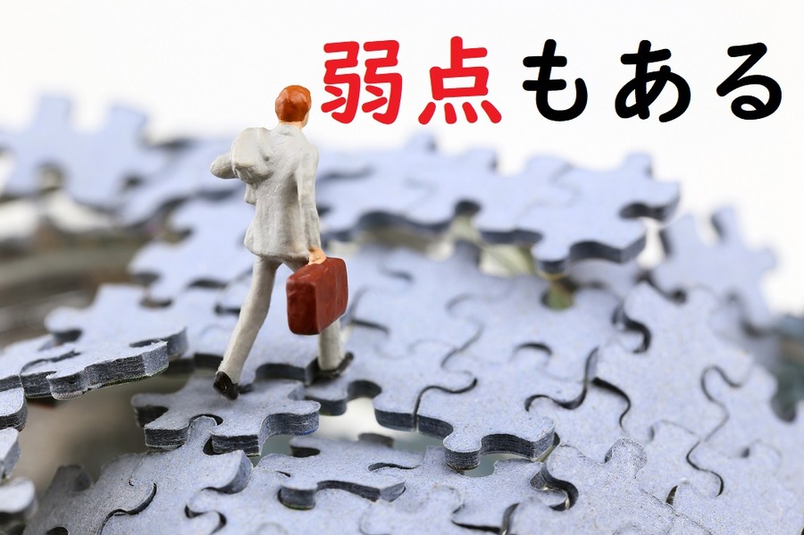 インデックスファンドの弱点