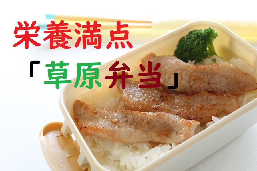 栄養満点な草原弁当