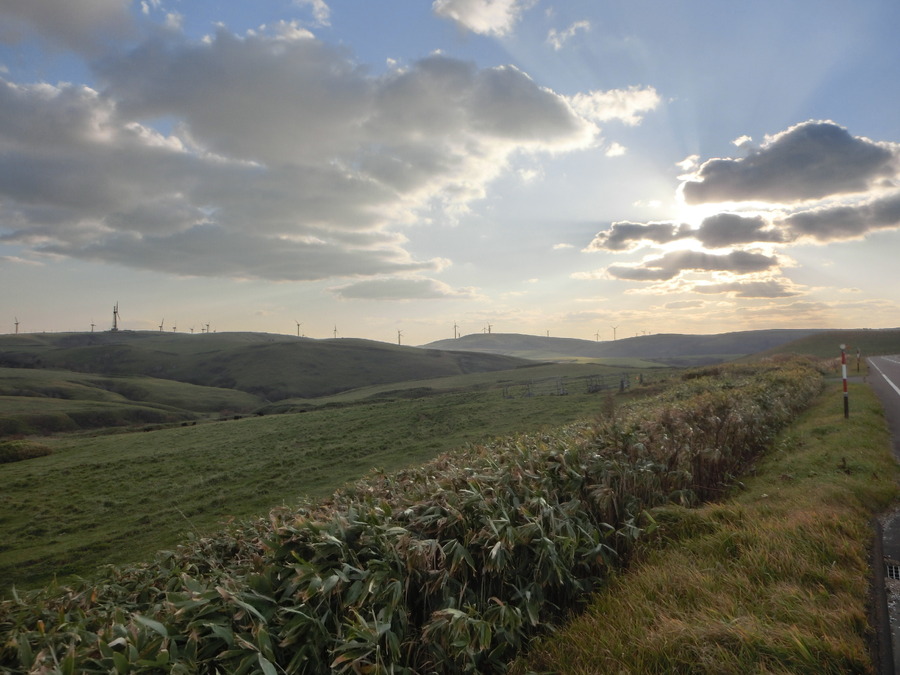 自然を活かした暮らしとは　～都会の喧騒はどこ吹く風の稚内から～