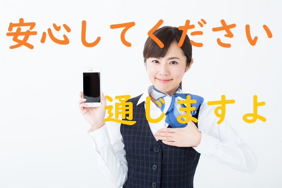 格安SIMでもちゃんと使えます