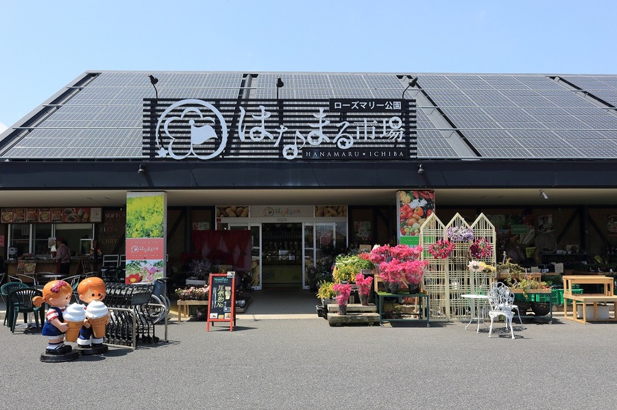 道の駅の地元の農産物コーナー