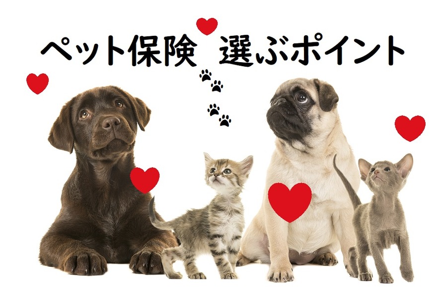 ペット保険選ぶポイント